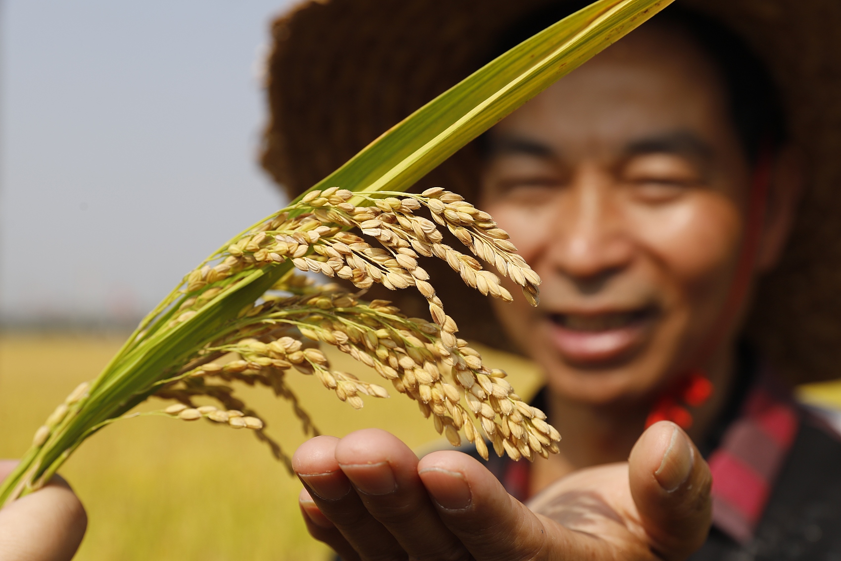 Before Competing with the US, China Built the World’s Largest Granary