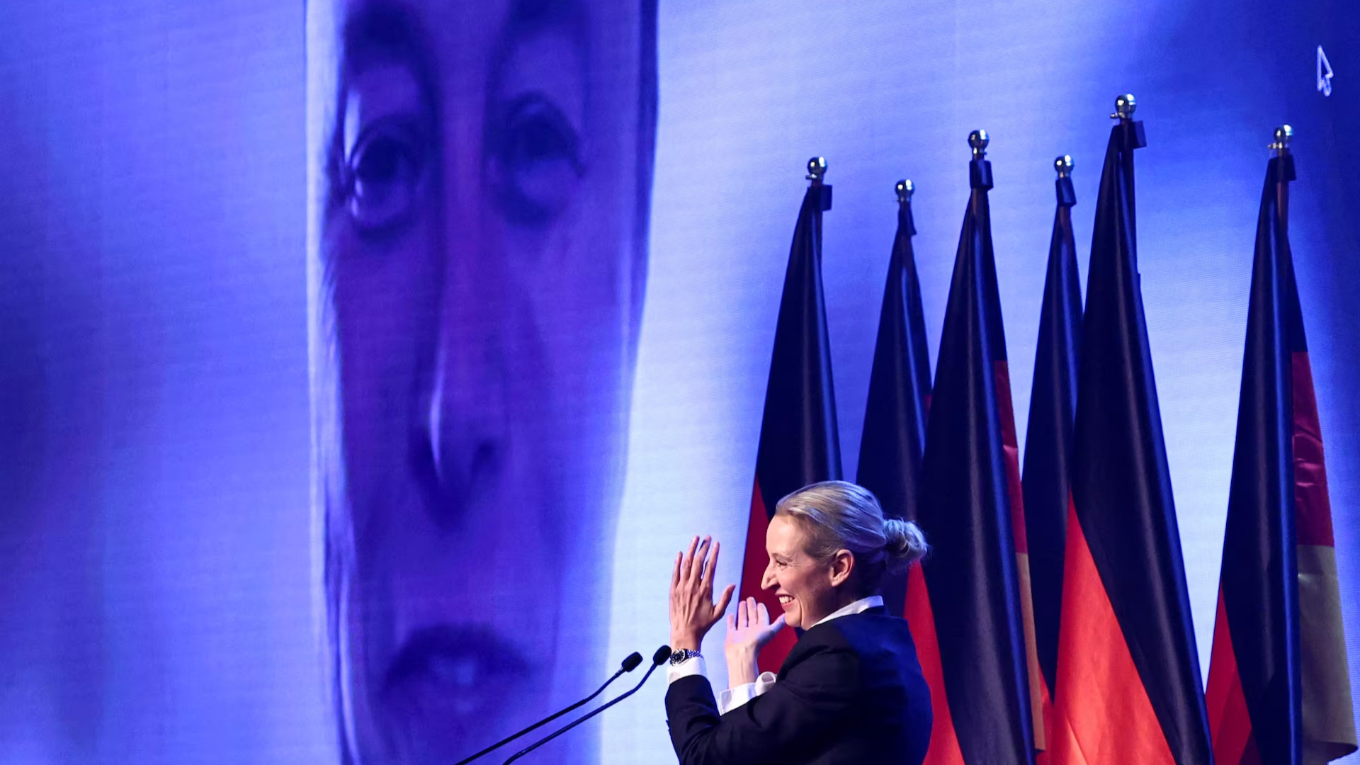The AfD breakthrough and the shifting European right