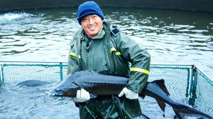 How a Chinese Small City Caters Global Caviar Enthusiasts